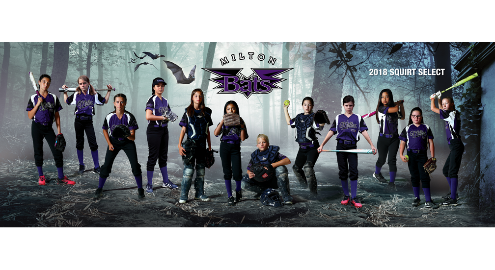 Softball Banner 1