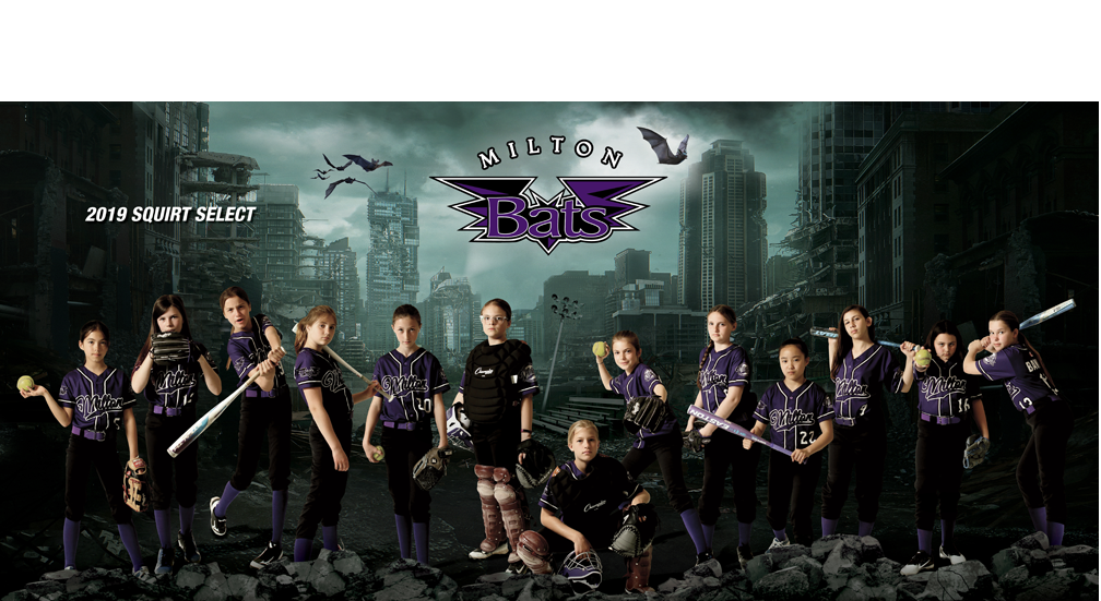 Softball Banner 5