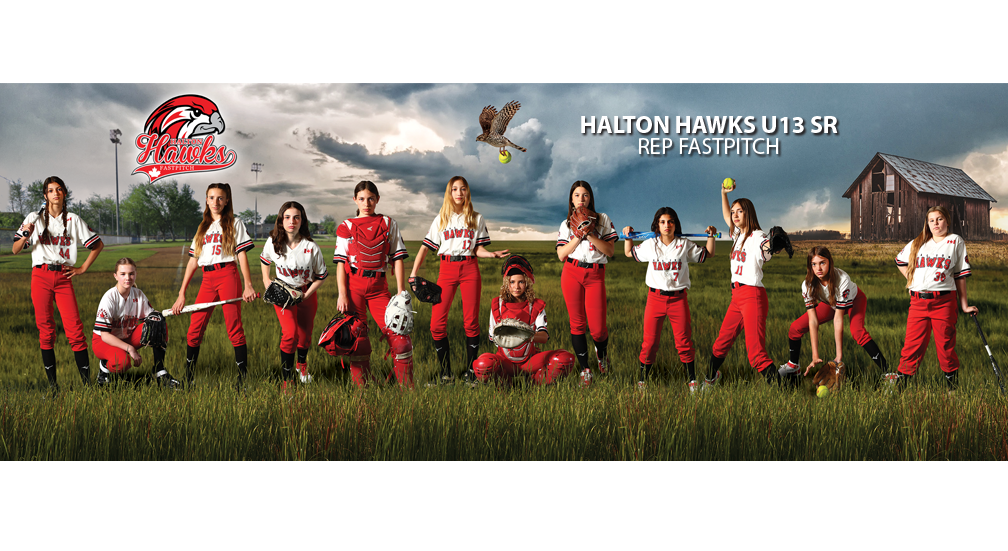 Softball Banner 8