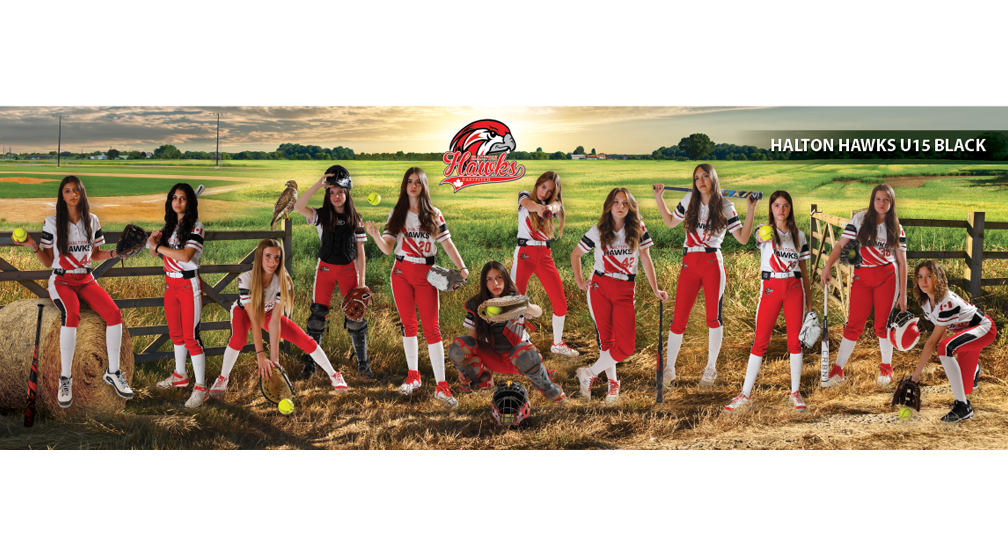 Softball Banner 10